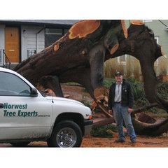 Norwest Tree Experts