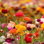 Michelle Dyroff's photo