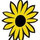 Sunflower Designs LLC