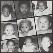 Langshe Curly's photo