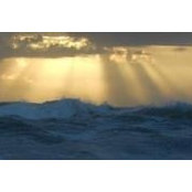 David Skeens's photo