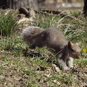 Serena Zanardo's photo
