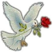 Raja Aalem's photo
