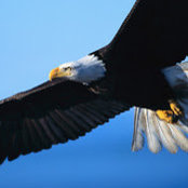 Eagle Point Front Office's photo