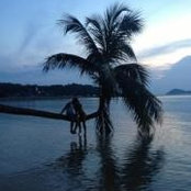 Alexia Camilleri's photo