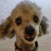 Kelly Z's photo