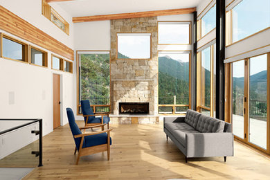 Modelo de salón abierto y abovedado moderno de tamaño medio con paredes blancas, suelo de madera clara, todas las chimeneas y marco de chimenea de piedra