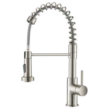 Blossom Lead Free, Solid Brass, Single Handle, Pull Out Kitchen Faucet, Brush Ni