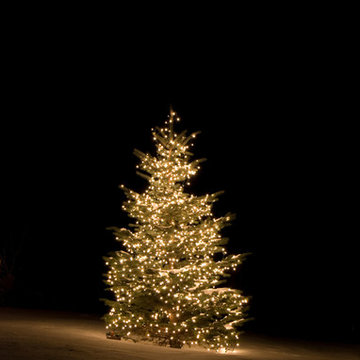 Holiday Outdoor Lighting