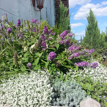 Newbury St. Rooftop Garden
