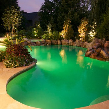 Backyard Oasis