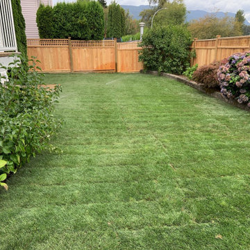 Full yard sod and fence restoration