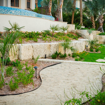 D'Asign Source
