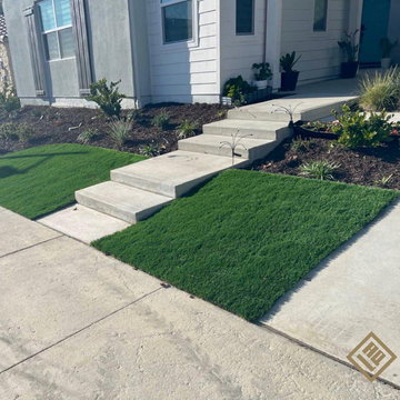 Folsom Modern Backyard Renovation