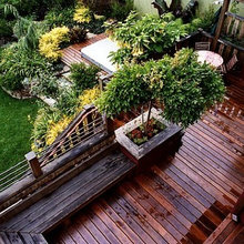 Exterior Ideas