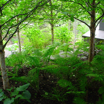 The Raspberry Patch