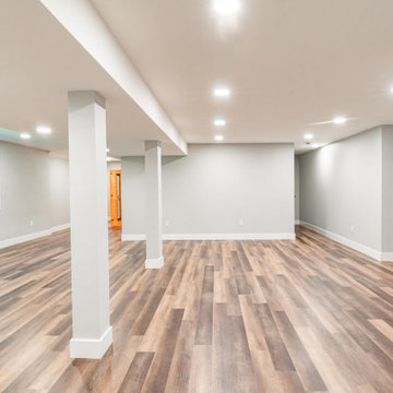 Doylestown Basement
