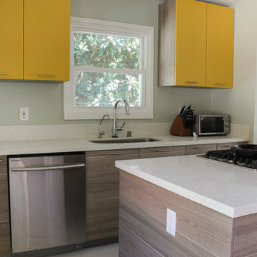 Compact & Vivid Contemporary Kitchen in Pasadena