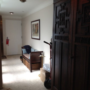 Suzie, Newport Beach - OCUPIED REDESIGN