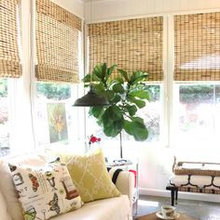 Window Covering