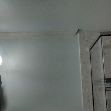 Norris Total Bathroom Remodel