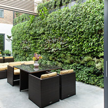 Green wall