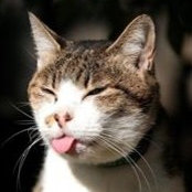 Foto de Kitty Tabor