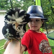 Kathy Murray's photo