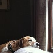 Julie Denise's photo