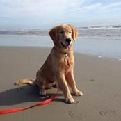 Foto von Jill Hornish