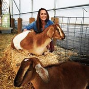 Ashley Johnson's photo