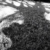 Thomas Crawford's photo