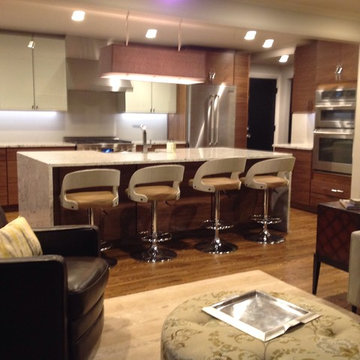 Mid century Modern Kitchen