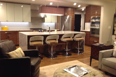 Example of a 1960s kitchen design in St Louis
