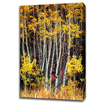 "In The Aspens" Fine Art Giclee Print on Gallery Wrap Canvas, Ready to Hang