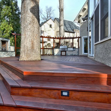 Tree Deck -- Incorporating a Beloved Tree, Making the Most of the Environmen