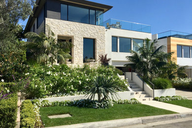 Photo of a mid-sized contemporary front yard full sun garden in Los Angeles with with privacy feature.