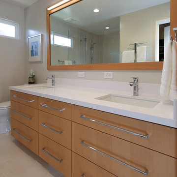 Contemporary Master and Hall Bath Remodel