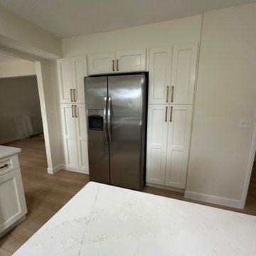 Kitchen remodel