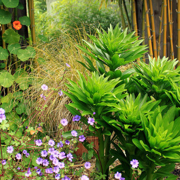 Richmond Garden