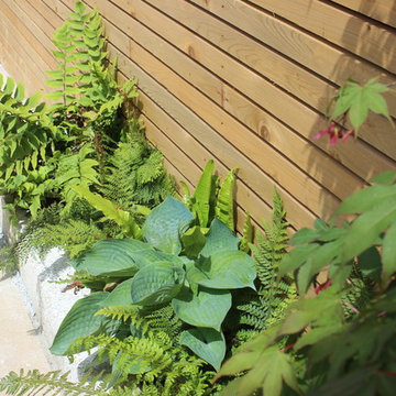 Urban Garden