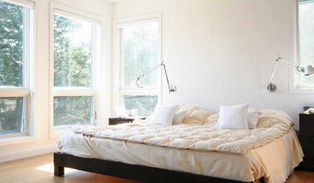 Why You Should Take a Winter's Nap Right Now!