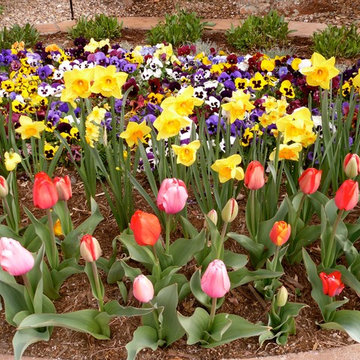 Color bed: Landscaping Projects