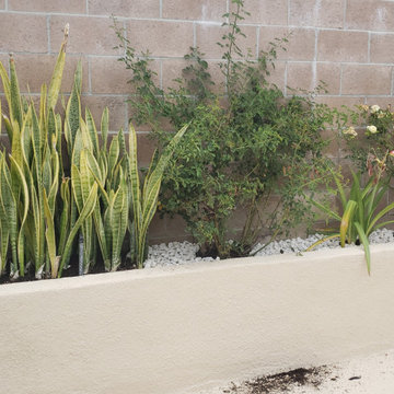 Backyard clean up and remodel
