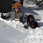 Andrew Sabel's photo