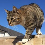 Claire Webber's photo