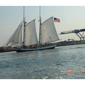 Carol Brady's photo