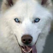 Michelle Lafferty's photo