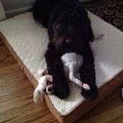 Rita Ketchum's photo