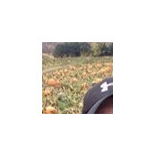 Christopher Palermo's photo